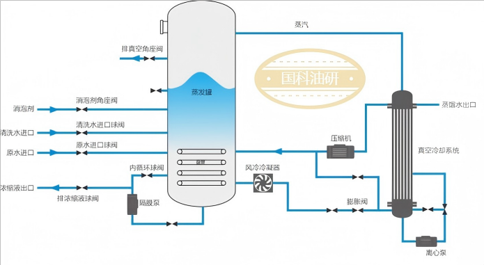 1741070075674673.png 3.png